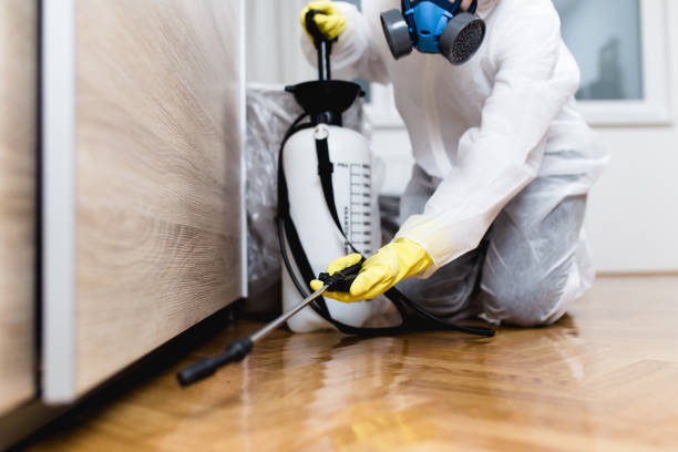 Best Bed Bug Extermination  in Fair Lawn, NJ