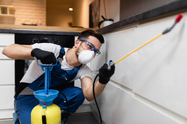 Best Pest Inspection Near Me  in Fair Lawn, NJ