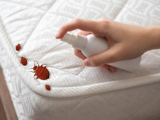 Pest Control Cost in Fair Lawn, NJ