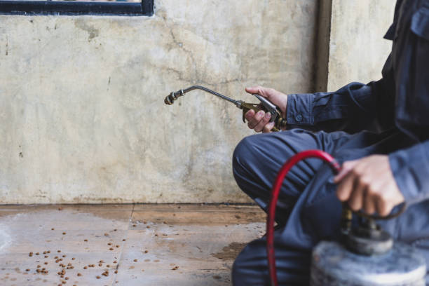 Best Best Pest Control Companies  in Fair Lawn, NJ