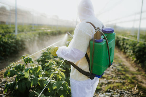 Best Rat Extermination Near Me  in Fair Lawn, NJ